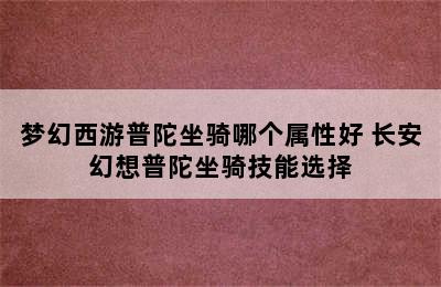 梦幻西游普陀坐骑哪个属性好 长安幻想普陀坐骑技能选择